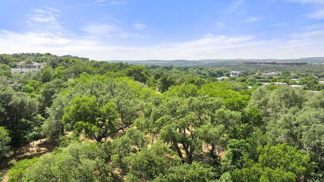 1121 Azie Morton Rd, Austin, TX 78704