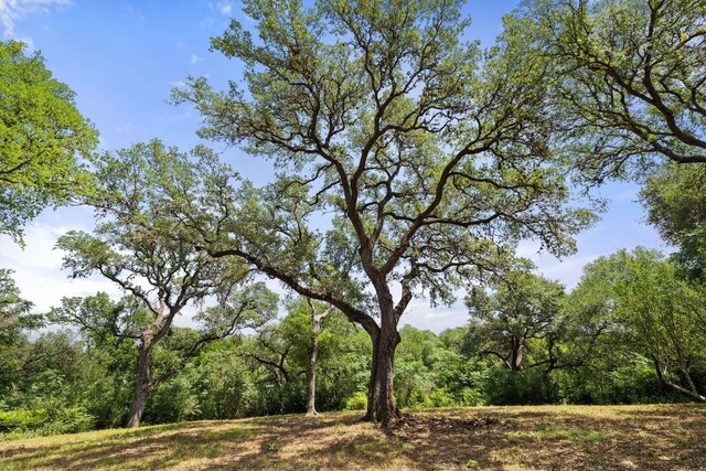 1121 Azie Morton Rd, Austin, TX 78704