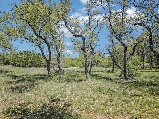 19904 Victoria Chase Rd, Lago Vista, TX 78645 - view of nature