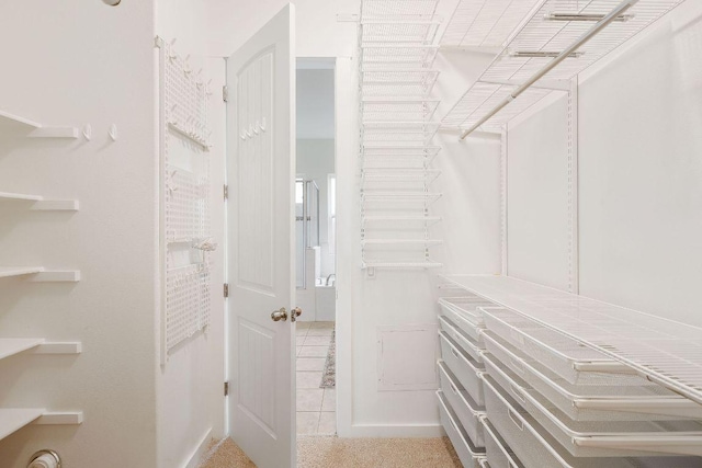 view of spacious closet