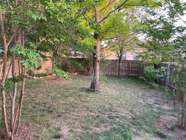 1709 Bush Coat Ln, Austin, TX 78754 - view of fenced backyard