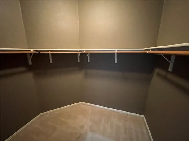 1709 Bush Coat Ln, Austin, TX 78754 - walk in closet with carpet flooring