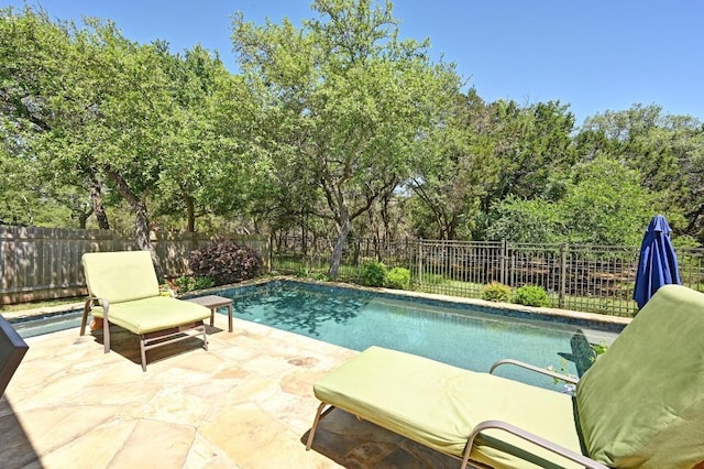 view of swimming pool featuring a fenced backyard, a patio area, and a fenced in pool