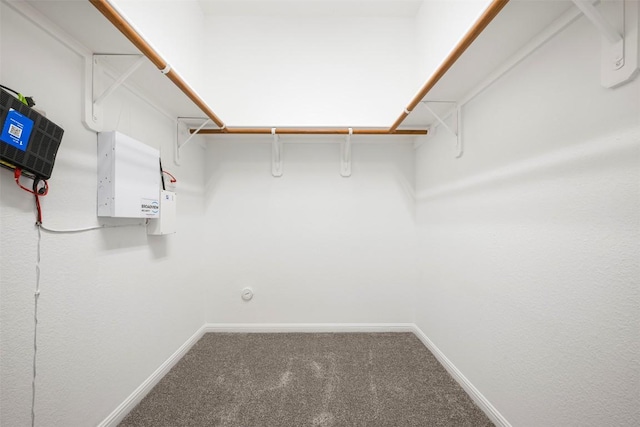1812 Hidden Springs Path, Round Rock, TX 78665 - walk in closet with carpet flooring