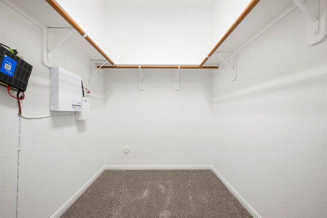 1812 Hidden Springs Path, Round Rock, TX 78665 - spacious closet with carpet flooring