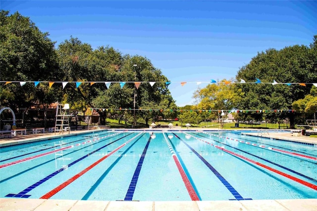 2203 Nathan Dr, Austin, TX 78728 - view of community pool
