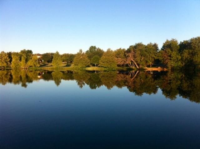2203 Nathan Dr, Austin, TX 78728 - water view featuring a forest