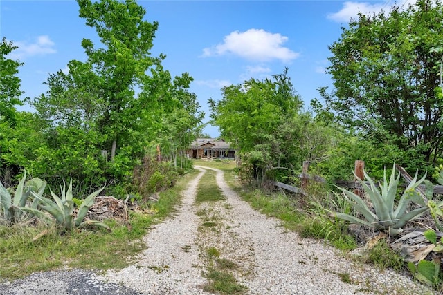 view of road featuring driveway