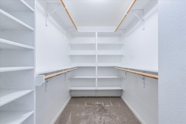 219 Quarry Ln, Liberty Hill, TX 78642 - spacious closet featuring carpet