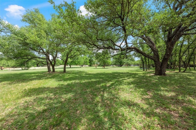 1609 Oak Forest Dr, Round Rock, TX 78681 - view of grassy yard
