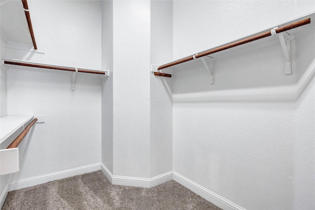 11413 Cherisse Dr, Austin, TX 78739 - photo 25