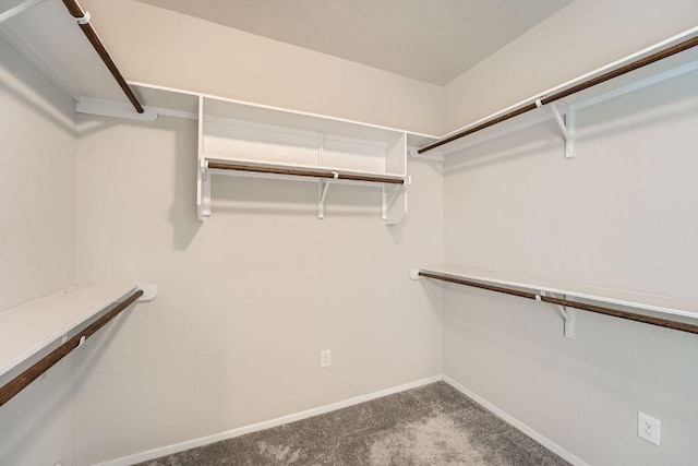 11509 Brindle Ct, Manor, TX 78653 - walk in closet with carpet flooring