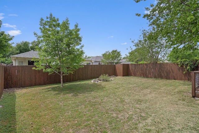 17320 Manish Dr, Pflugerville, TX 78660 - view of yard