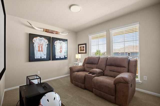 604 Nueces River Trl, Hutto, TX 78634 - cinema room with carpet and baseboards