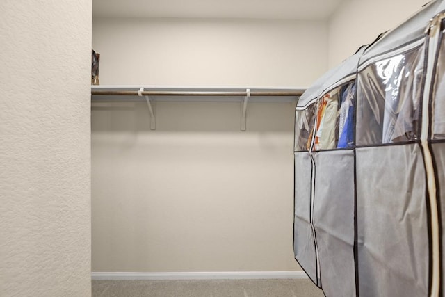 604 Nueces River Trl, Hutto, TX 78634 - spacious closet featuring carpet flooring