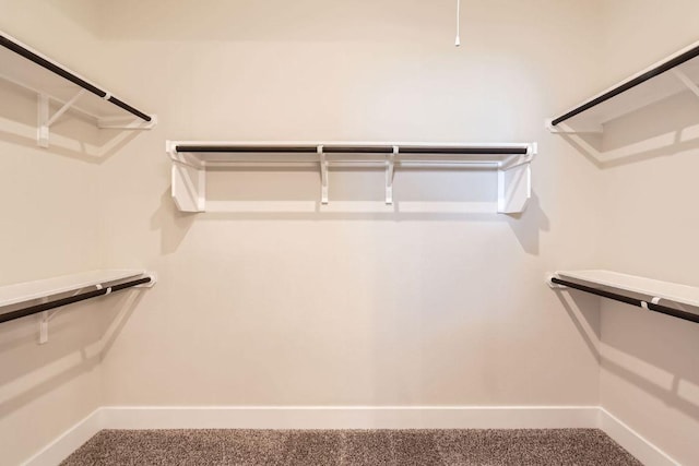 view of walk in closet
