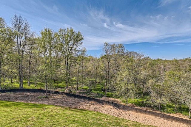 view of yard with a forest view