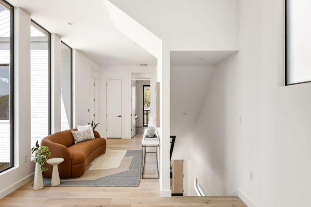 303 W Elizabeth St Unit A, Austin, TX 78704 - photo 22