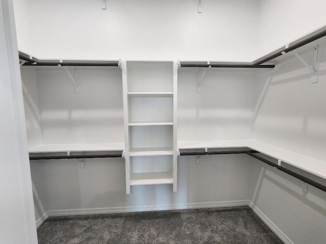 walk in closet with dark colored carpet