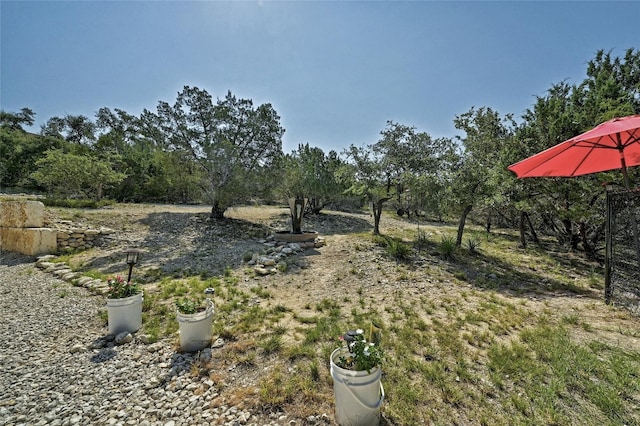 19908 Victoria Chase Rd, Lago Vista, TX 78645 - view of yard