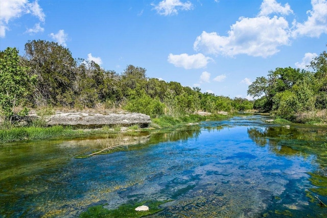 water view with a forest view