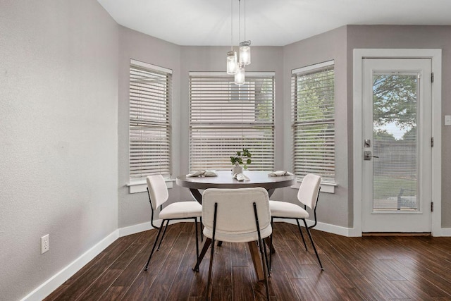 dining room with baseboards and dark wood-style floors