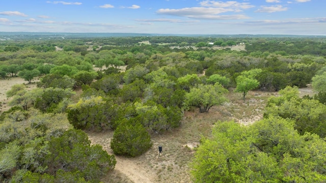 birds eye view of property with a forest view
