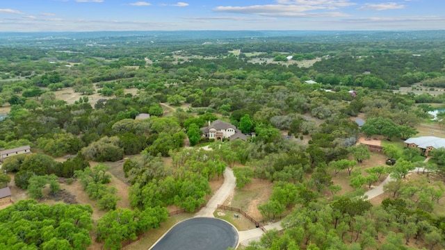 16016 Palomino Ranch Dr, Leander, TX 78641 - bird's eye view of a heavily wooded area