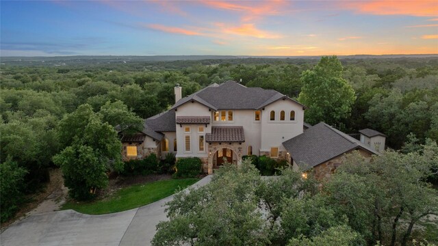 16016 Palomino Ranch Dr, Leander, TX 78641 - view of front of home featuring stone siding, a forest view, a chimney, and stucco siding