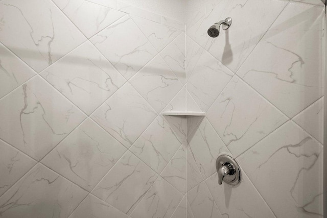 370 Grace Lilly Dr, Buda, TX 78610 - bathroom view of a shower