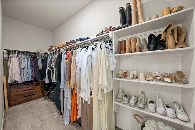 370 Grace Lilly Dr, Buda, TX 78610 - spacious closet featuring carpet