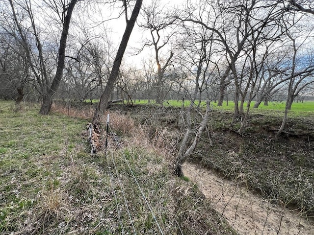 view of nature