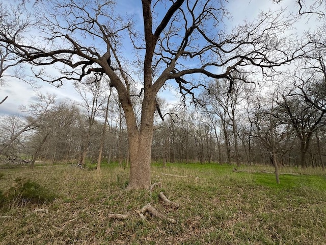 view of landscape featuring a view of trees