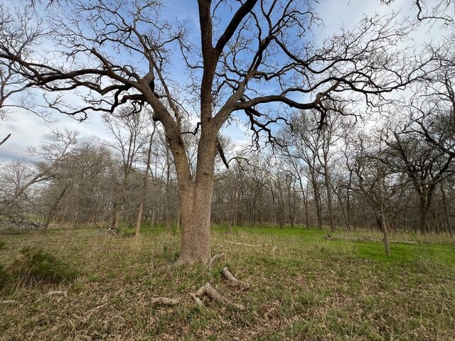 510 Wilson Rd, Red Rock, TX 78662 - photo 7