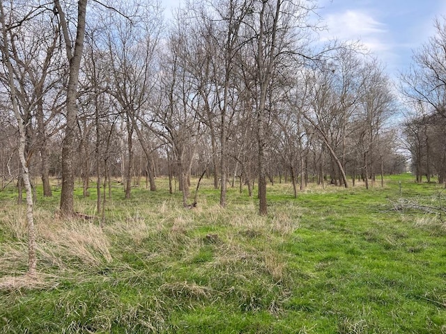 view of nature