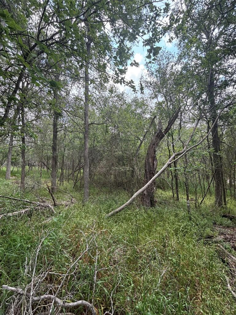 191 Heleakala Dr, Bastrop, TX 78602