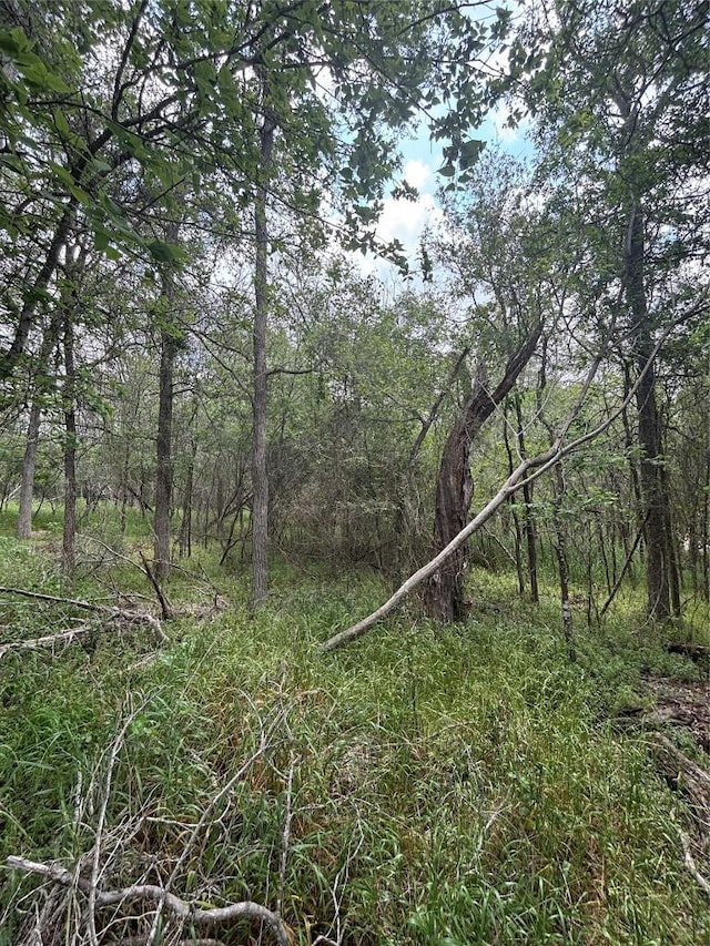 191 Heleakala Dr, Bastrop, TX 78602