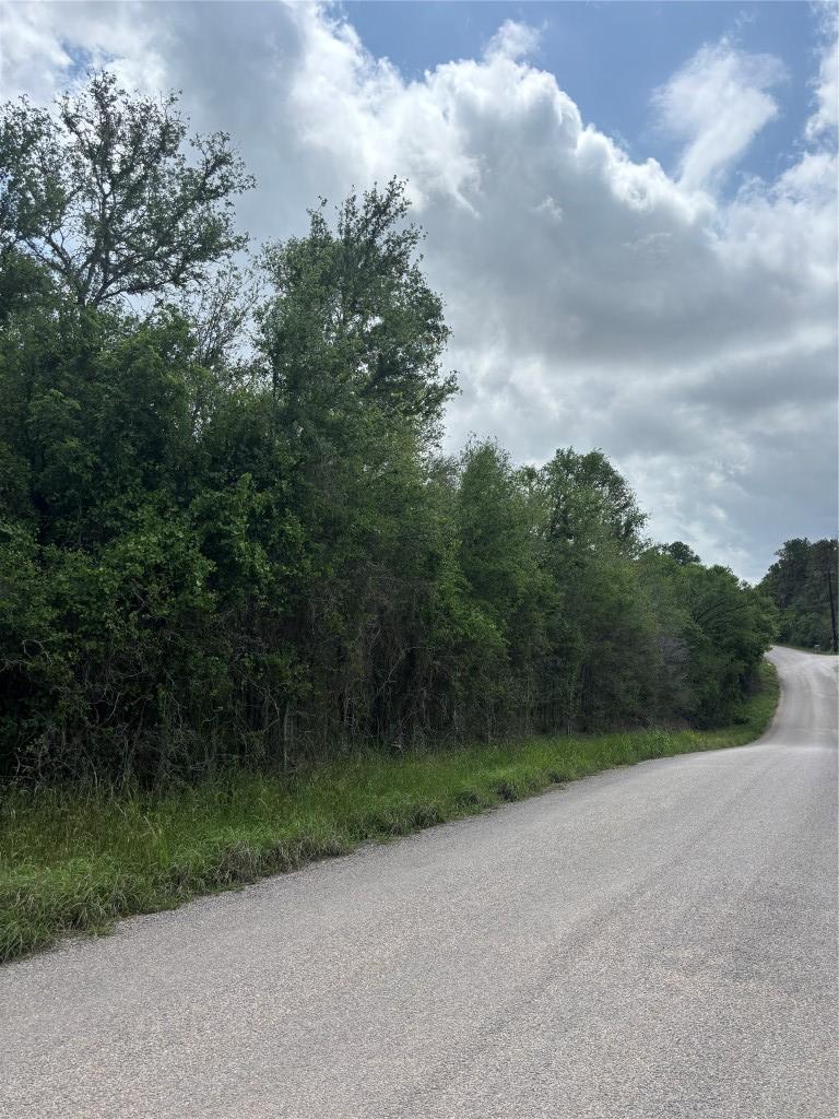 191 Heleakala Dr, Bastrop, TX 78602