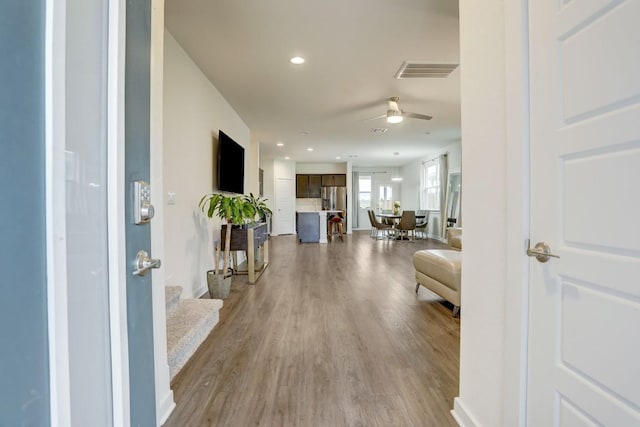 113 Filifera Ct, Leander, TX 78641 - photo 4