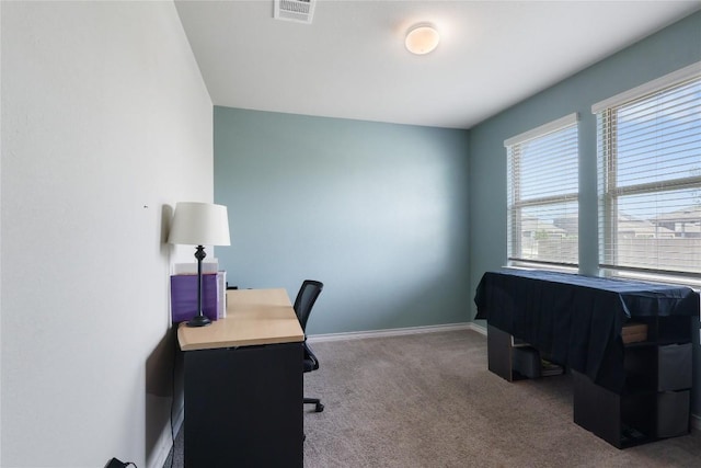 345 Coba St, Leander, TX 78641 - office space with carpet flooring and baseboards