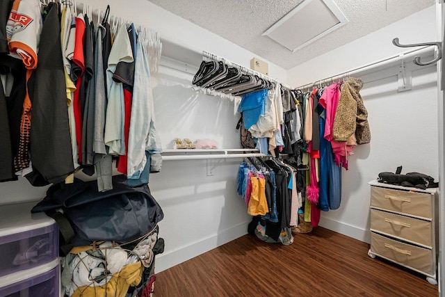 3212 Darnell Dr, Austin, TX 78745 - spacious closet with attic access and wood finished floors