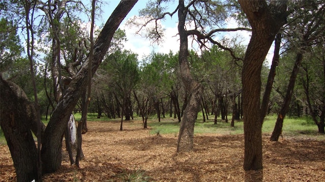 36 Travis Oaks Dr, Marble Falls, TX 78654 - photo 2