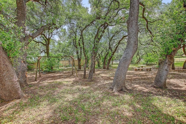 36 Cottondale Rd, The Hills, TX 78738 - view of yard