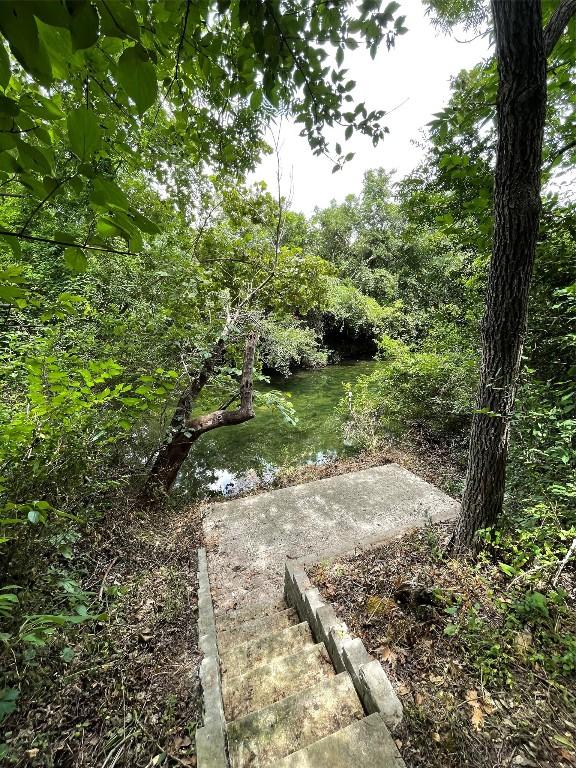 4101 Top Of Texas Trl, Austin, TX 78735 - view of yard