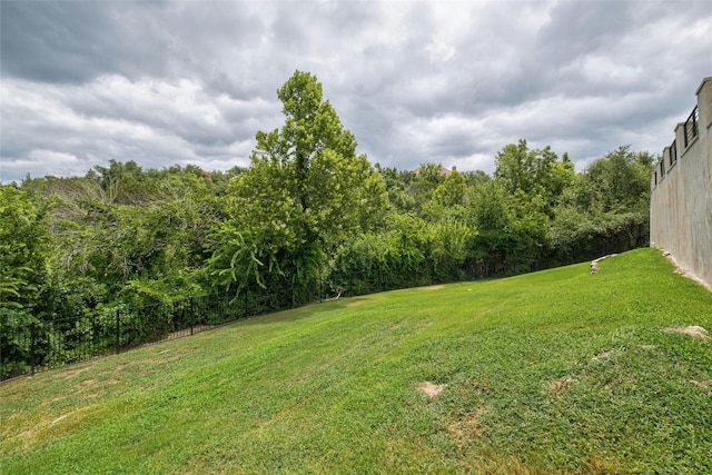 4101 Top Of Texas Trl, Austin, TX 78735 - view of yard