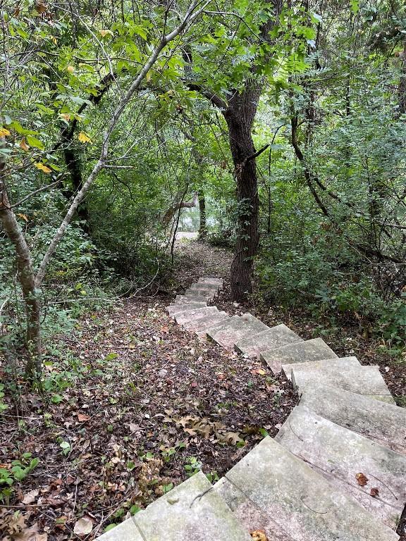 4101 Top Of Texas Trl, Austin, TX 78735 - view of wooded area