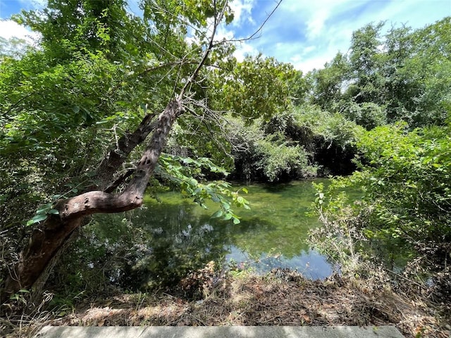 4101 Top Of Texas Trl, Austin, TX 78735 - water view