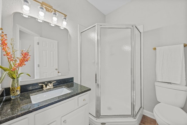 1107 Saint John Ct, Pflugerville, TX 78660 - full bathroom featuring toilet, a stall shower, and vanity
