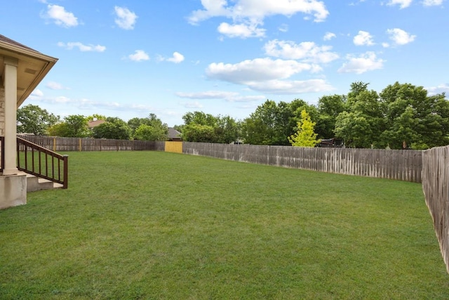 1107 Saint John Ct, Pflugerville, TX 78660 - view of yard featuring a fenced backyard