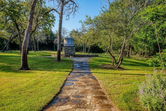 view of property's community with a lawn
